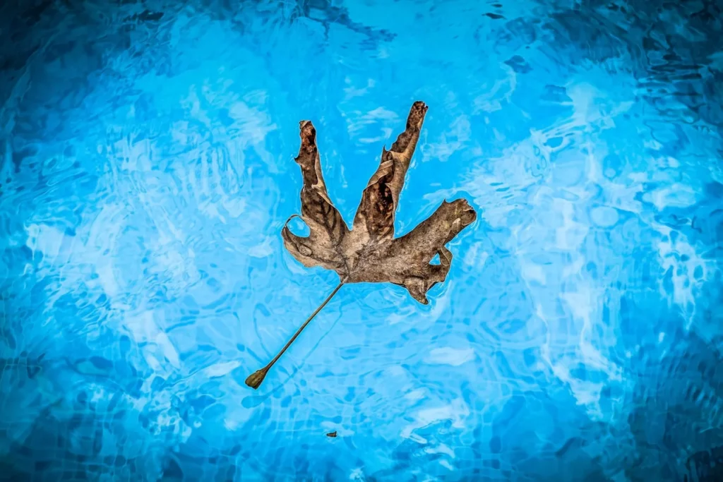 mantener piscina en invierno
