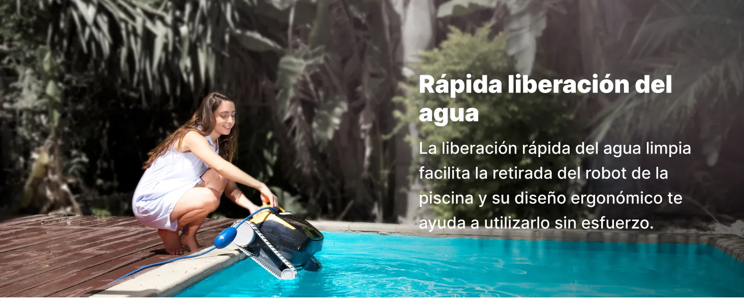 Dolphin E20