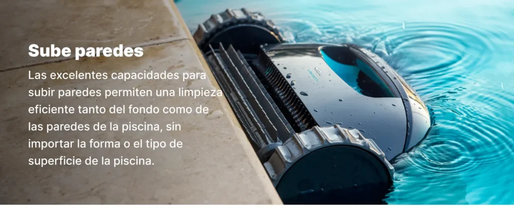 Dolphin Liberty 300